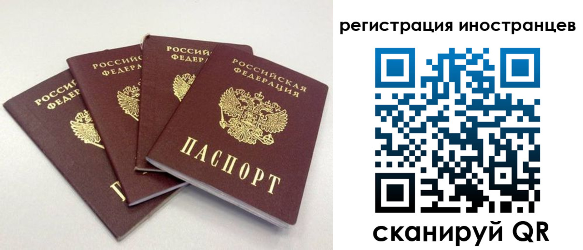 временная регистрация для школы в Ворсме
